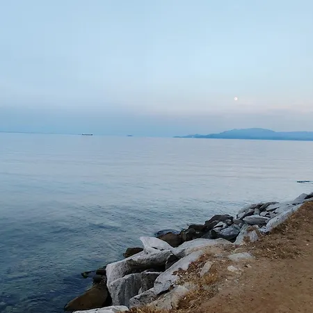 Sakas * Кавала